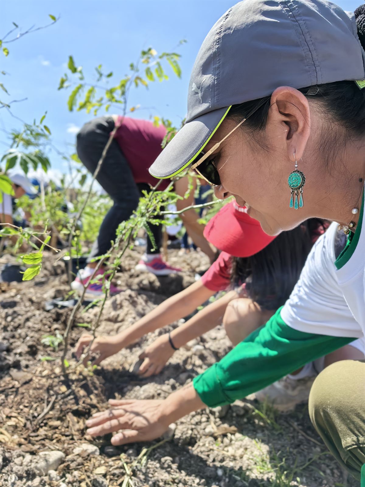 Mujer sonriente plantando un pequeño árbol con sus manos en la tierra, con otras personas plantando al fondo