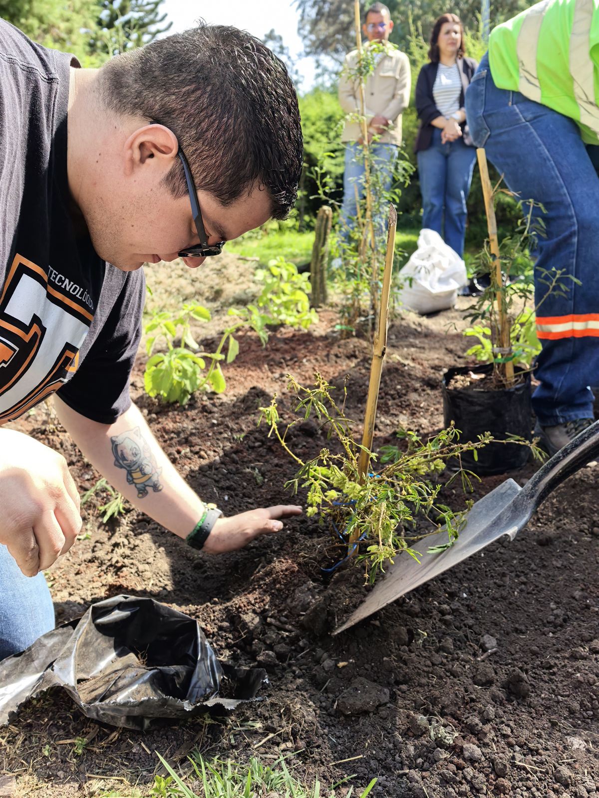 Joven estudiante presionando la tierra alrededor de una plántula nativa recién plantada junto a una pala